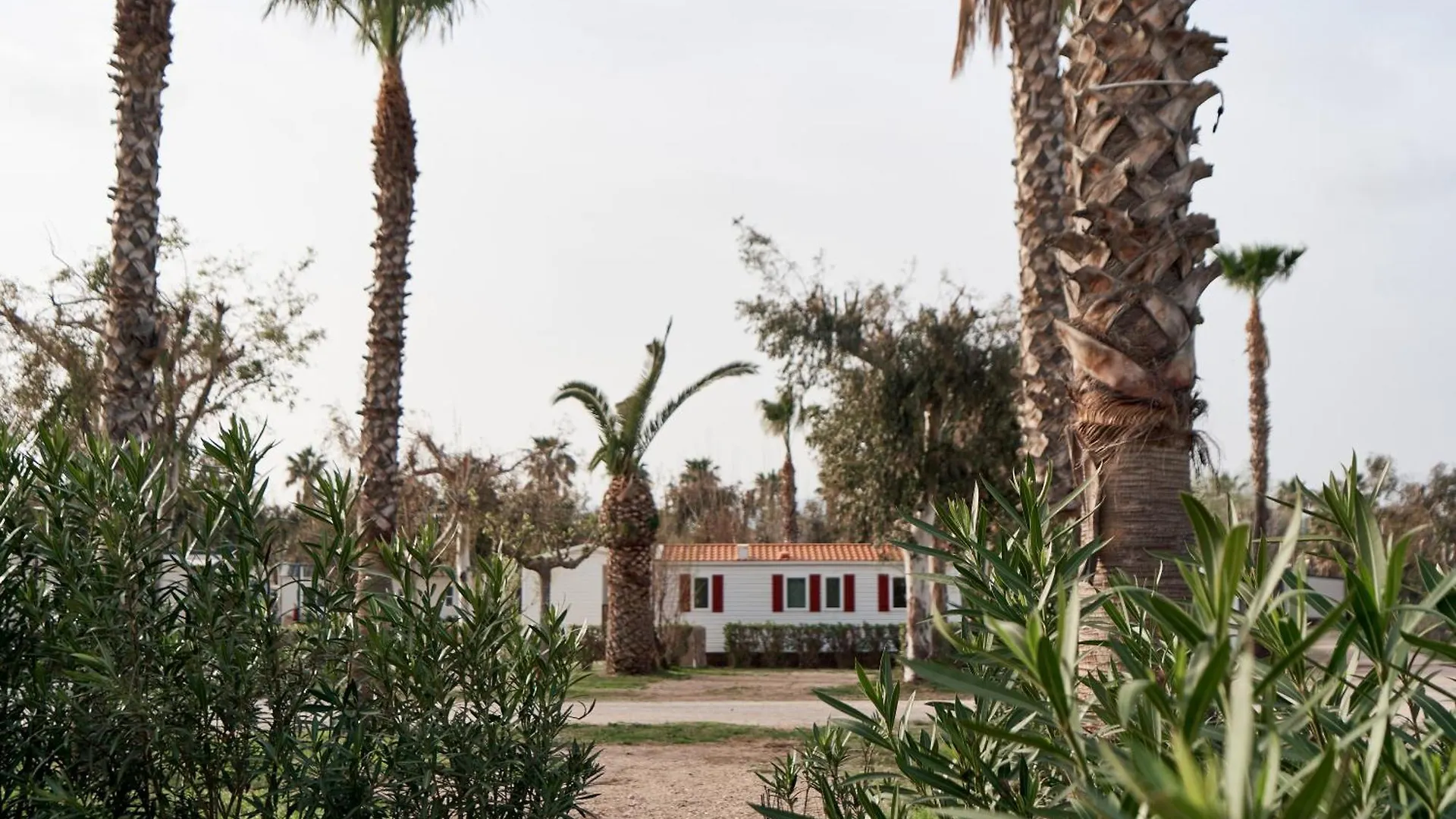 Taiga Delta De L'Ebre Hotel L'Ampolla Campsite
