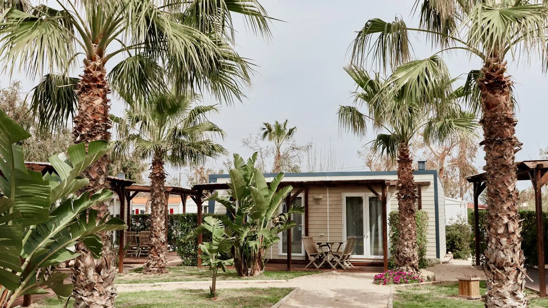 Taiga Delta De L'Ebre Hotel L'Ampolla
