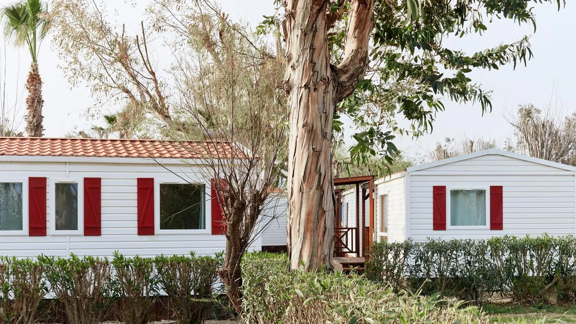 Hotel Taiga Delta De L'Ebre L'Ampolla